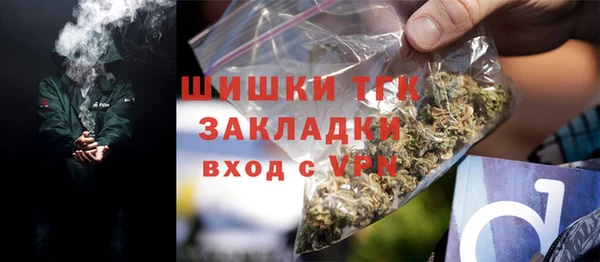 эйфоретик Бородино