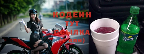 индика Бугульма