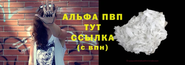 индика Бугульма