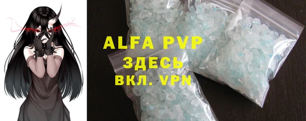 индика Бугульма