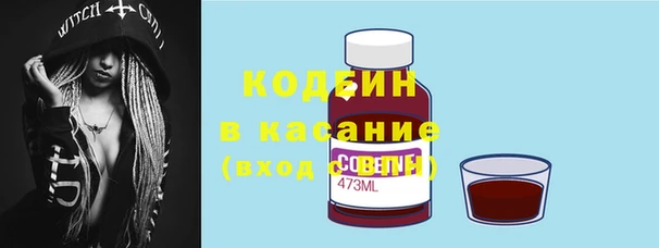 индика Бугульма