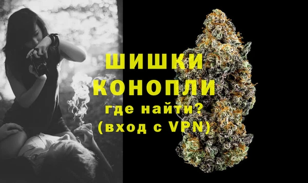 индика Бугульма