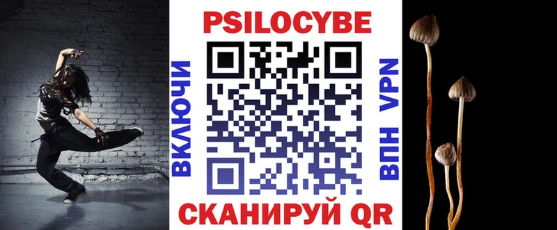 наркошоп  Малаховка  Галлюциногенные грибы MAGIC MUSHROOMS 